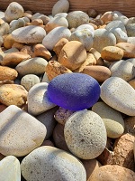 Light purple on rocks
